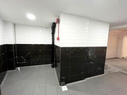 Telok Ayer Conservation Area (D1), Shop House #454283391